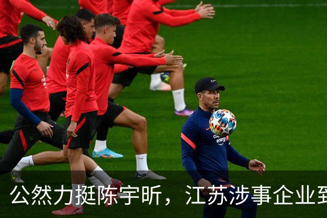 公然力挺陈宇昕，江苏涉事企业到底图个啥
